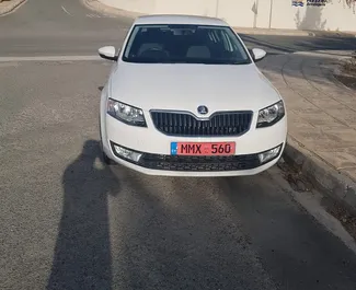 Frontansicht eines Mietwagens Skoda Octavia in Paphos, Zypern ✓ Auto Nr.2670. ✓ Schaltgetriebe TM ✓ 1 Bewertungen.