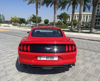 Vermietung Ford Mustang Coupe. Premium, Luxus Fahrzeug zur Miete in VAE ✓ Kaution Einzahlung von 2000 AED ✓ Versicherungsoptionen KFZ-HV, VKV Plus, Insassen, Diebstahlschutz.