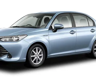 Frontansicht eines Mietwagens Toyota Corolla Axio auf Mauritius Flughafen, Mauritius ✓ Auto Nr.7660. ✓ Automatisch TM ✓ 0 Bewertungen.