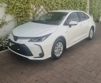 Frontansicht eines Mietwagens Toyota Corolla Sedan in Baku, Aserbaidschan ✓ Auto Nr.7951. ✓ Automatisch TM ✓ 0 Bewertungen.