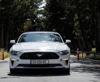 Autovermietung Ford Mustang Cabrio Nr.8032 Automatisch in Tiflis, ausgestattet mit einem 2,3L Motor ➤ Von Tamta in Georgien.