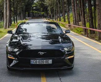 Autovermietung Ford Mustang Cabrio Nr.8031 Automatisch in Tiflis, ausgestattet mit einem 2,3L Motor ➤ Von Tamta in Georgien.