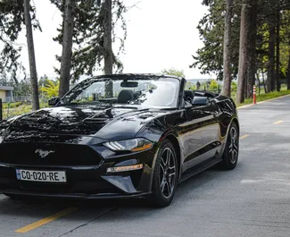 Frontansicht eines Mietwagens Ford Mustang Cabrio in Tiflis, Georgien ✓ Auto Nr.8031. ✓ Automatisch TM ✓ 1 Bewertungen.