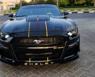 Frontansicht eines Mietwagens Ford Mustang Cabrio in Dubai, VAE ✓ Auto Nr.8412. ✓ Automatisch TM ✓ 0 Bewertungen.