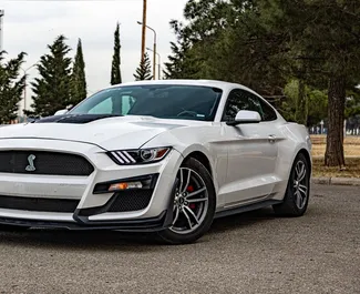 Frontansicht eines Mietwagens Ford Mustang Coupe in Batumi, Georgien ✓ Auto Nr.10274. ✓ Automatisch TM ✓ 0 Bewertungen.