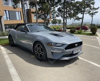 Frontansicht eines Mietwagens Ford Mustang Cabrio in Tiflis, Georgien ✓ Auto Nr.6323. ✓ Automatisch TM ✓ 2 Bewertungen.