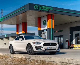 Frontansicht eines Mietwagens Ford Mustang Coupe in Tiflis, Georgien ✓ Auto Nr.9877. ✓ Automatisch TM ✓ 1 Bewertungen.