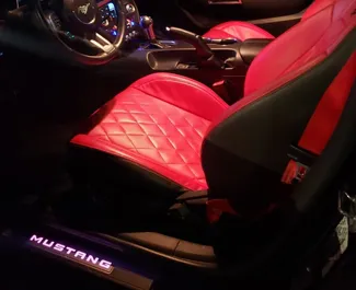 Autovermietung Ford Mustang Cabrio Nr.11915 Automatisch in Dubai, ausgestattet mit einem 2,3L Motor ➤ Von Mounir in VAE.