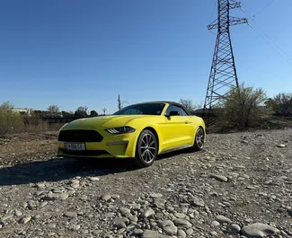 Autovermietung Ford Mustang Cabrio Nr.12494 Automatisch in Tiflis, ausgestattet mit einem 2,3L Motor ➤ Von Eugeni in Georgien.