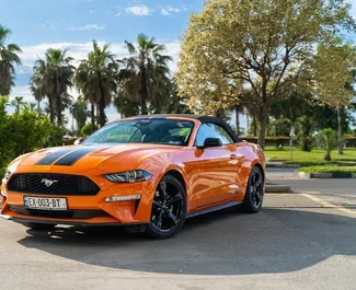 Frontansicht eines Mietwagens Ford Mustang Cabrio in Batumi, Georgien ✓ Auto Nr.13531. ✓ Automatisch TM ✓ 0 Bewertungen.