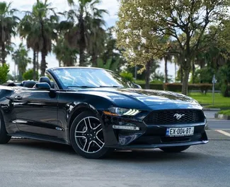 Frontansicht eines Mietwagens Ford Mustang Cabrio in Batumi, Georgien ✓ Auto Nr.13532. ✓ Automatisch TM ✓ 0 Bewertungen.
