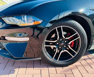Autovermietung Ford Mustang Cabrio Nr.14109 Automatisch in Eriwan, ausgestattet mit einem 2,3L Motor ➤ Von Artak in Armenien.