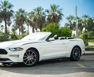 Frontansicht eines Mietwagens Ford Mustang Cabrio in Batumi, Georgien ✓ Auto Nr.14448. ✓ Automatisch TM ✓ 0 Bewertungen.