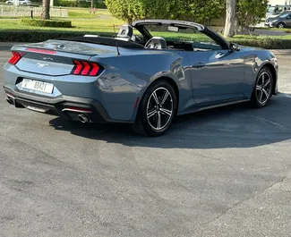 Autovermietung Ford Mustang Cabrio Nr.14504 Automatisch in Dubai, ausgestattet mit einem 2,3L Motor ➤ Von Lascha in VAE.