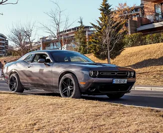 Autovermietung Dodge Challenger Nr.14550 Automatisch in Tiflis, ausgestattet mit einem 3,6L Motor ➤ Von Mariia in Georgien.