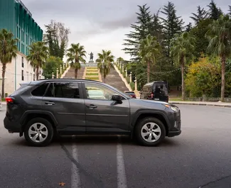 Mietwagen Toyota Rav4 2020 in Georgien, mit Benzin-Kraftstoff und 203 PS ➤ Ab 120 GEL pro Tag.