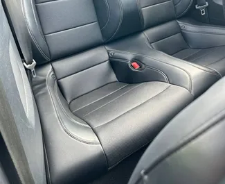 Vermietung Ford Mustang Cabrio. Premium, Luxus, Cabrio Fahrzeug zur Miete in Weißrussland ✓ Kaution Keine Kaution ✓ Versicherungsoptionen KFZ-HV, TKV.