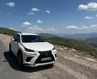 Autovermietung Lexus NX Nr.13354 Automatisch in Eriwan, ausgestattet mit einem 2,0L Motor ➤ Von Rafik in Armenien.