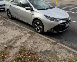 Frontansicht eines Mietwagens Toyota Corolla Sedan in Minsk, Weißrussland ✓ Auto Nr.15796. ✓ Automatisch TM ✓ 0 Bewertungen.