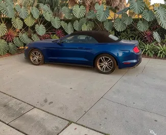 Autovermietung Ford Mustang Cabrio Nr.15729 Automatisch in Batumi, ausgestattet mit einem 2,3L Motor ➤ Von Anastasia in Georgien.