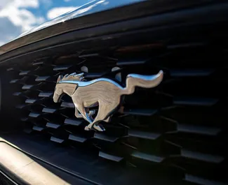 Vermietung Ford Mustang Cabrio. Premium, Luxus, Cabrio Fahrzeug zur Miete in Georgien ✓ Kaution Einzahlung von 560 GEL ✓ Versicherungsoptionen KFZ-HV, TKV, VKV Plus, VKV Komplett, Insassen, Diebstahlschutz.