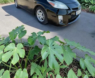 Hybride 1,8L Motor von Toyota Prius 2012 zur Miete in Batumi.
