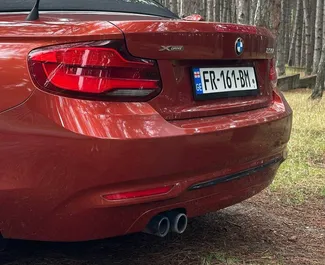 Mieten Sie ein BMW 230xi Cabrio in Tiflis Georgien